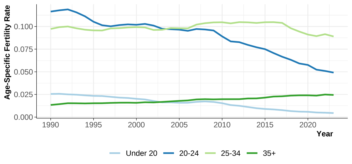 Biểu đồ đường này cho thấy tỷ lệ sinh theo độ tuổi theo thời gian. Đáng chú ý là tất cả tỷ lệ sinh dưới 24 tuổi đều giảm nhanh chóng, trong khi tỷ lệ sinh ở nhóm tuổi lớn hơn tăng nhưng chậm.