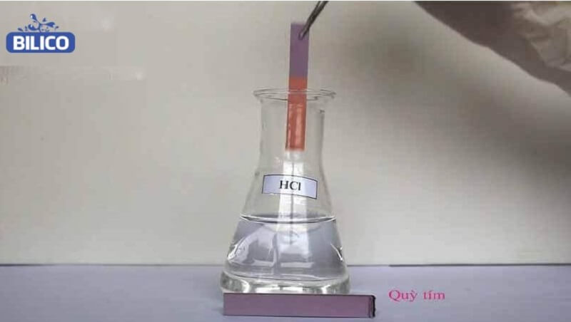 HCl-lam-quy-tim-chuyen-mau-gi-2