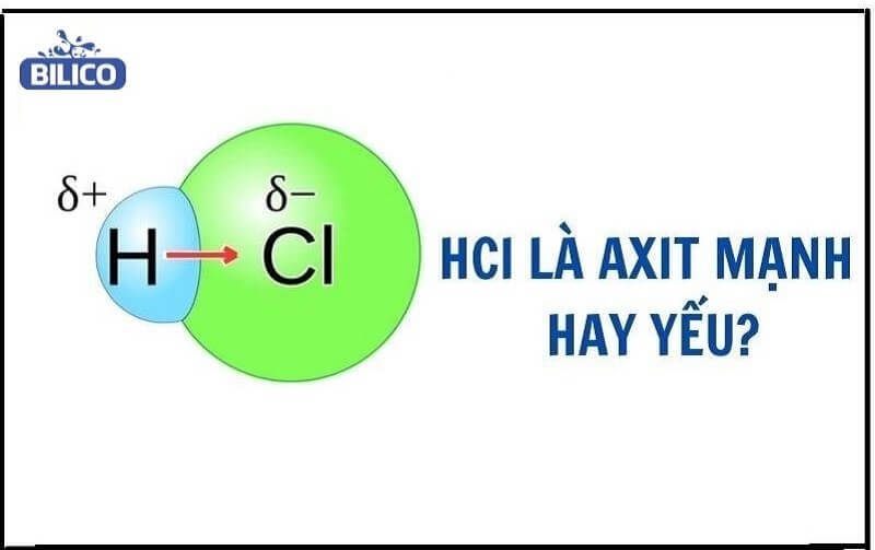 HCl-lam-quy-tim-chuyen-mau-gi-3