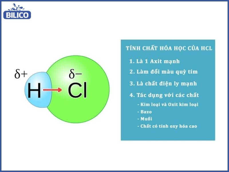 HCl-lam-quy-tim-chuyen-mau-gi-6