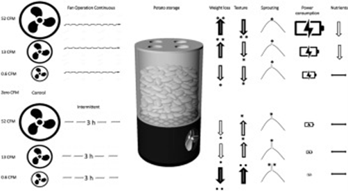 Optimizing Long-Term Potato Storage with Ethylene Measurement