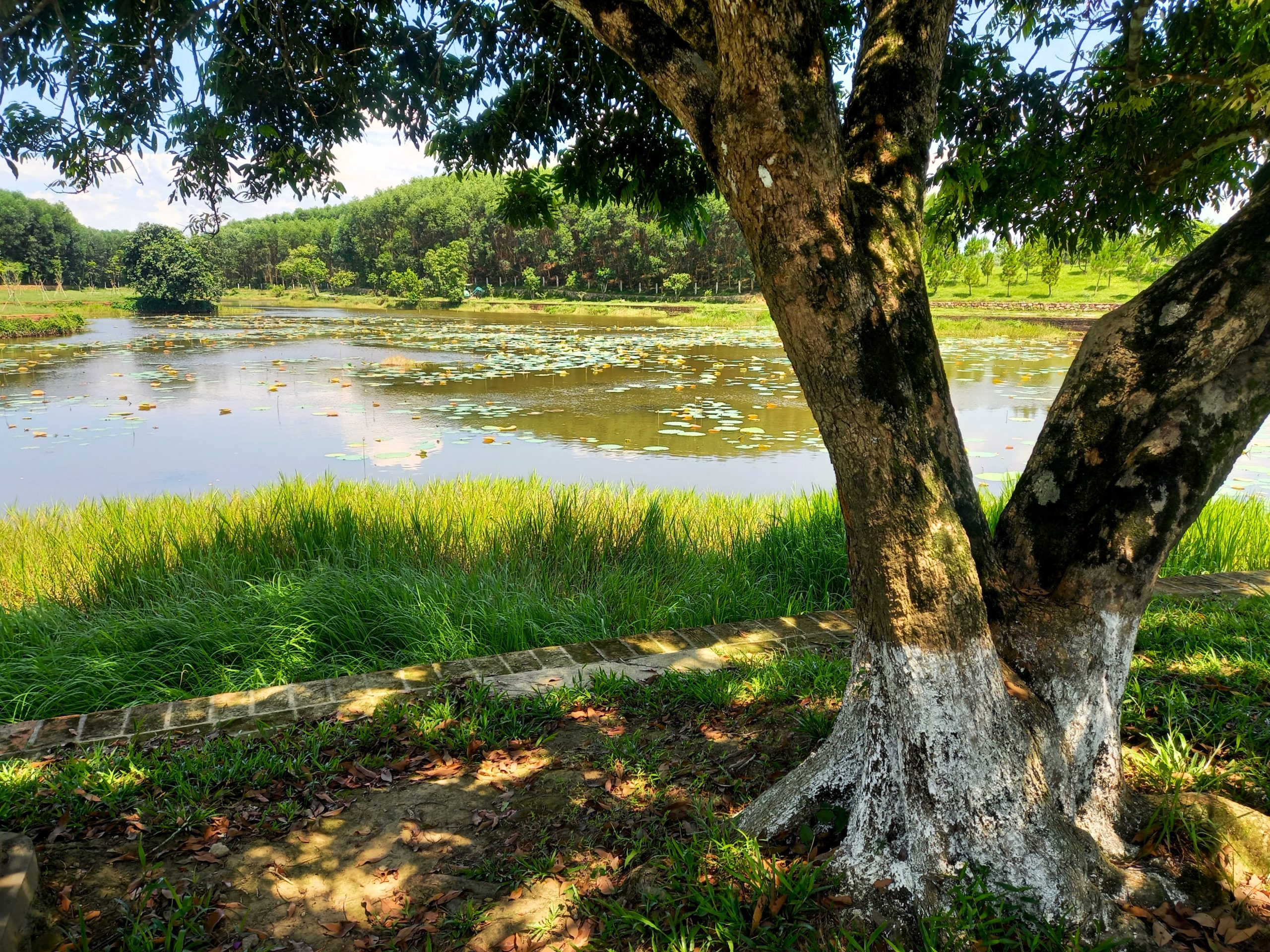 First Emperor: Gia Long