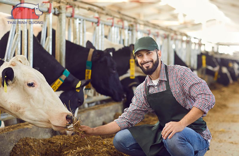 gia-suc-gom-nhung-con-gi-2