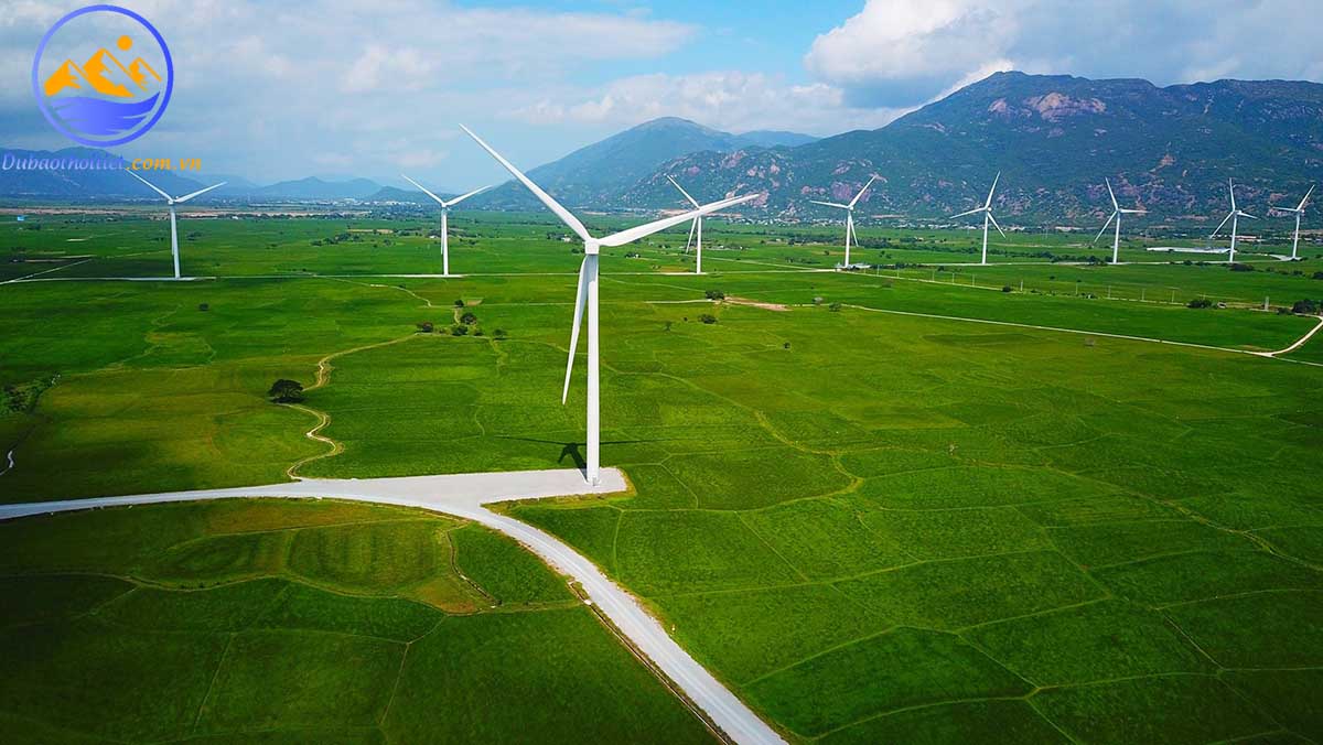 Gió tín phong còn được gọi là gió mậu dịch