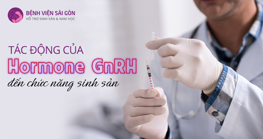 Tác động của hormone GnRH đến chức năng sinh sản