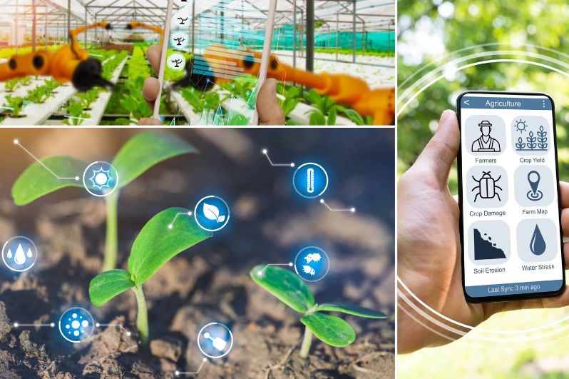 Những thách thức khi áp dụng công nghệ cao trong trồng trọt