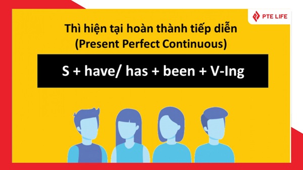 has been dùng thì gì