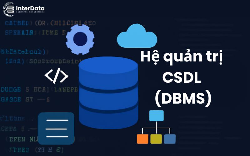 Hệ quản trị cơ sở dữ liệu là gì? Cấu trúc, Phân loại & Lợi ích
