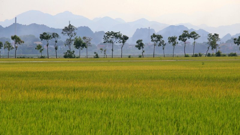 hinh-anh-binh-yen-lang-que-tinh-lang-34