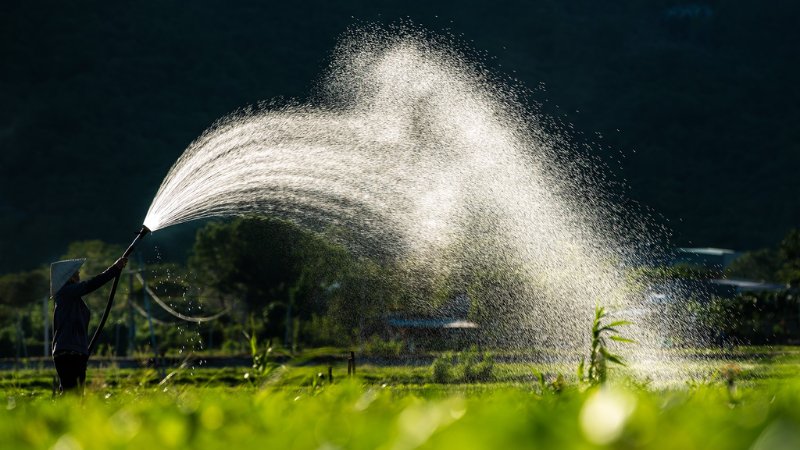 hinh-anh-binh-yen-lang-que-tinh-lang-40