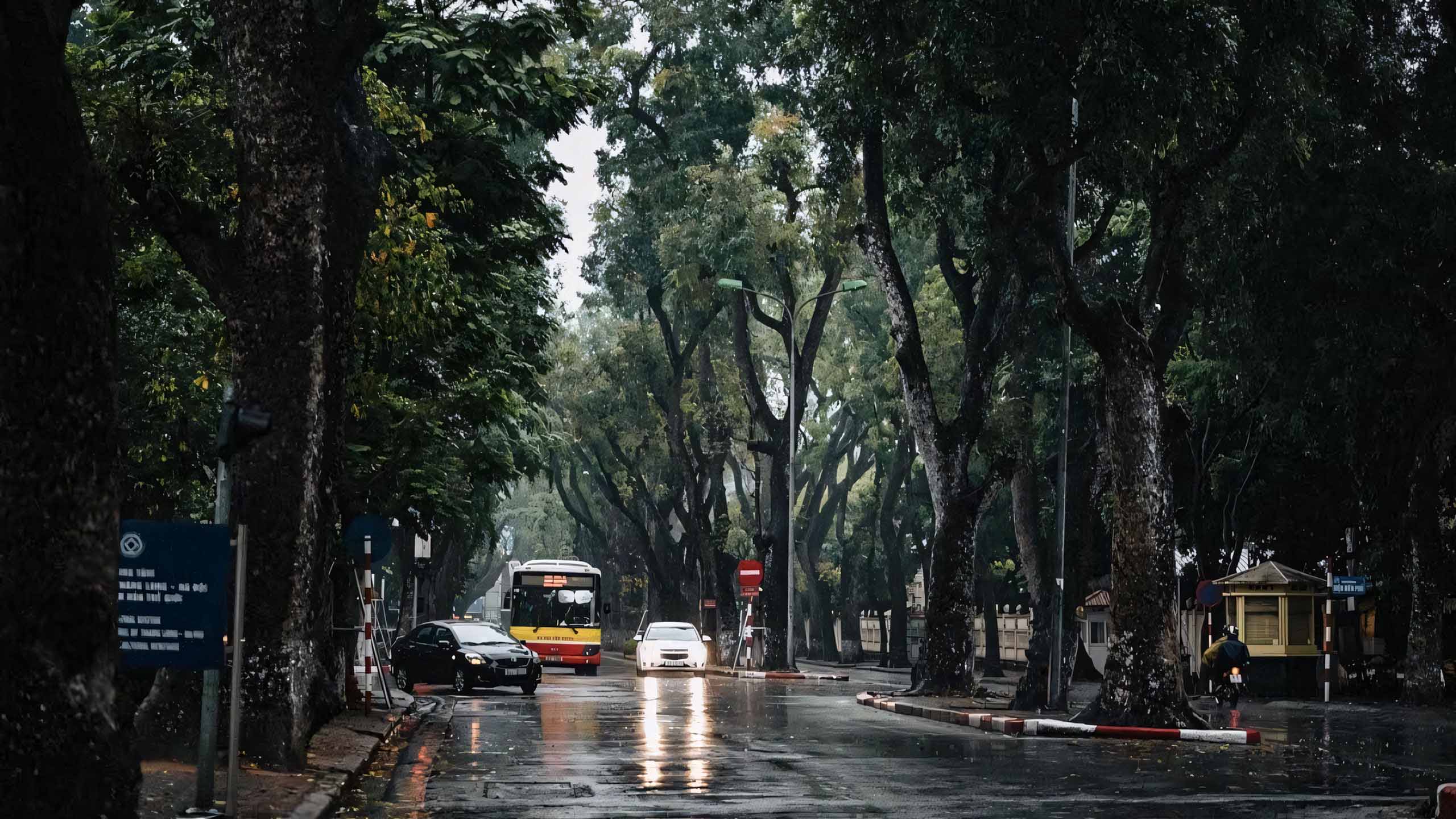 hinh anh sai gon mua buon 2560px 1440px 2kk 8