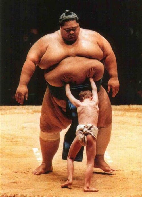 hinh anh vui nhon nhat the gioi vui cuoi 16