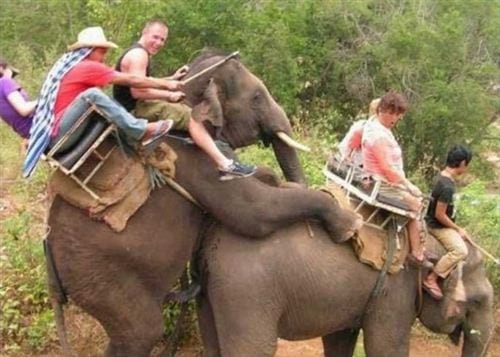 hinh anh vui nhon nhat the gioi vui cuoi 3