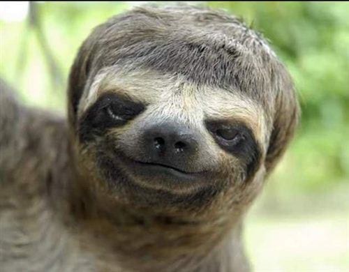 hinh anh vui nhon nhat the gioi vui cuoi 24