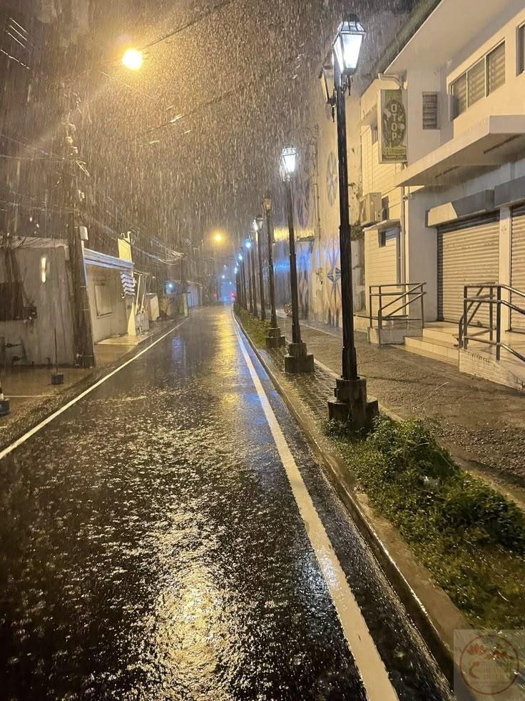 Mưa khiến từng chi tiết quen thuộc trên phố như khoác thêm một lớp áo mới mẻ hơn