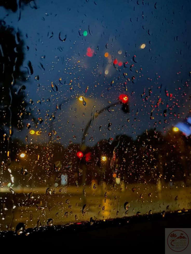 Những bóng dáng vội vã dưới mưa làm bức tranh đường phố sống động nhưng vẫn trầm lắng