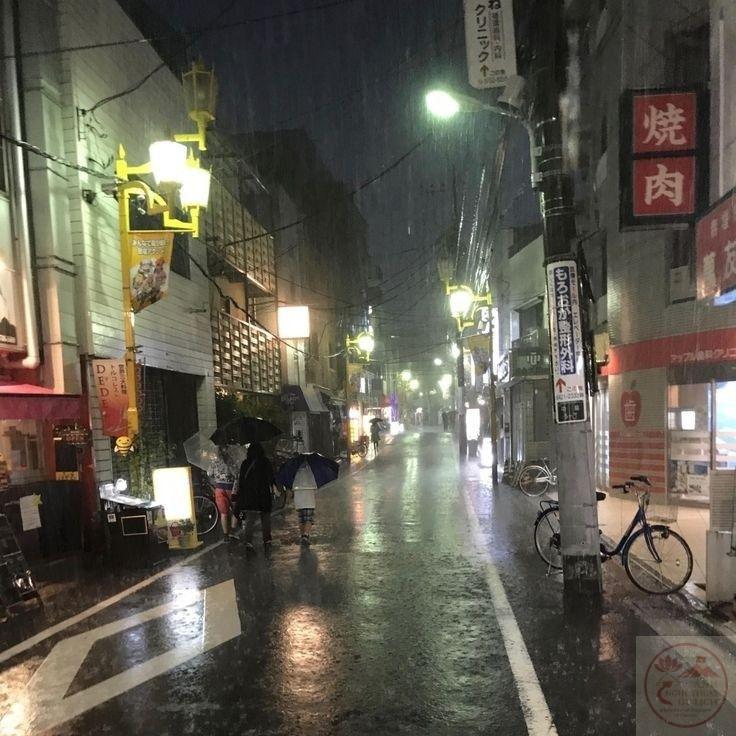 Ánh đèn hắt xuống mặt đường ướt loang loáng, tạo nên vẻ đẹp huyền ảo khó quên