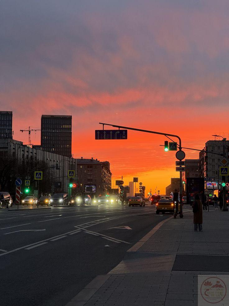 Tia nắng chiều xuyên qua hàng cây, phản chiếu lên mặt đường gợi cảnh tượng thật yên bình