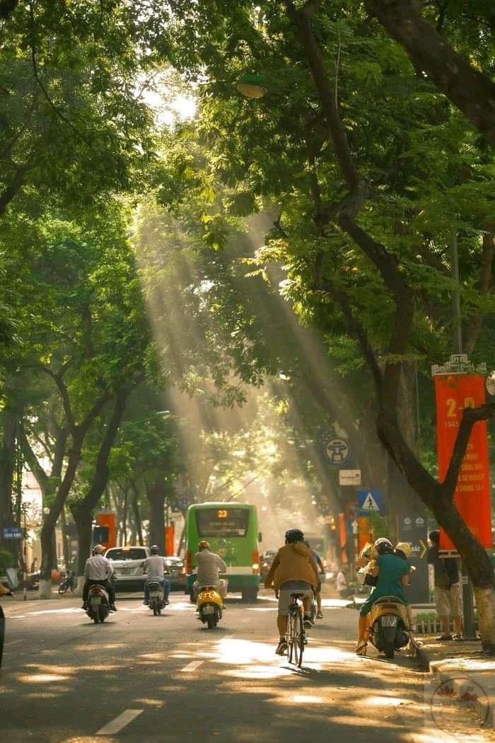 Buổi sáng Hà Nội phủ ánh sương nhẹ nhàng, tạo nên khung cảnh mờ ảo đầy chất thơ