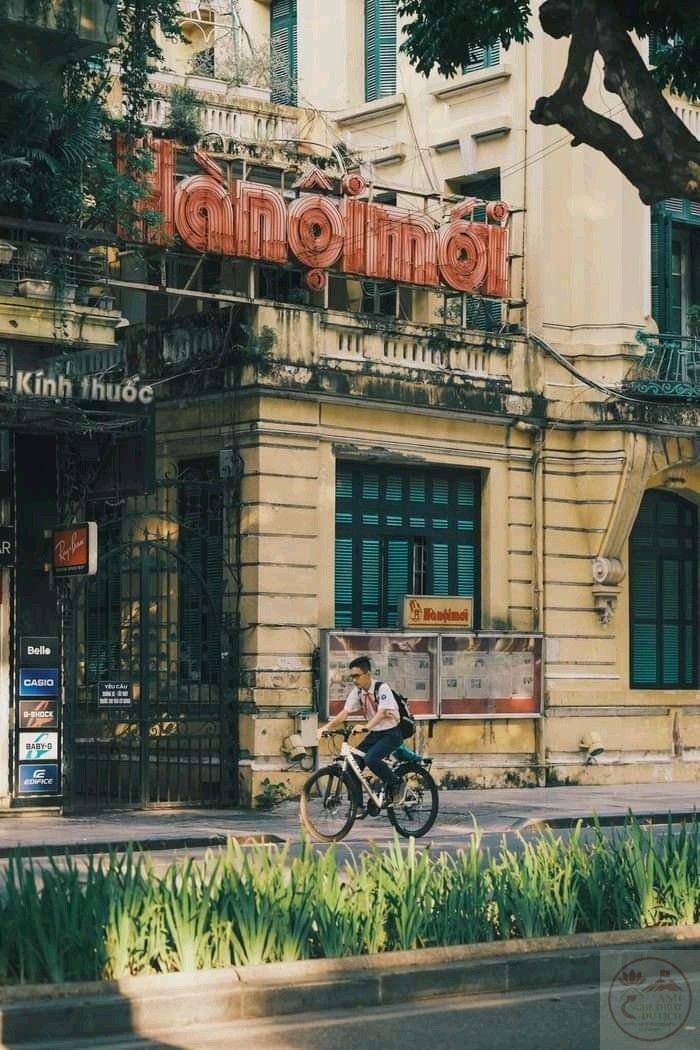 Hà Nội hiện ra yên ả trong từng con phố nhỏ, mang nét đẹp bình dị nhưng đầy cuốn hút