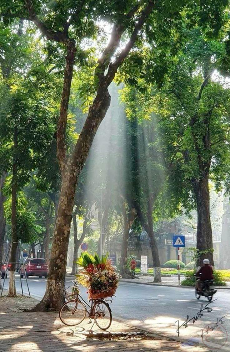 Nhịp sống thủ đô in dấu qua ánh đèn phố, gợi sự kết hợp giữa hiện đại và truyền thống