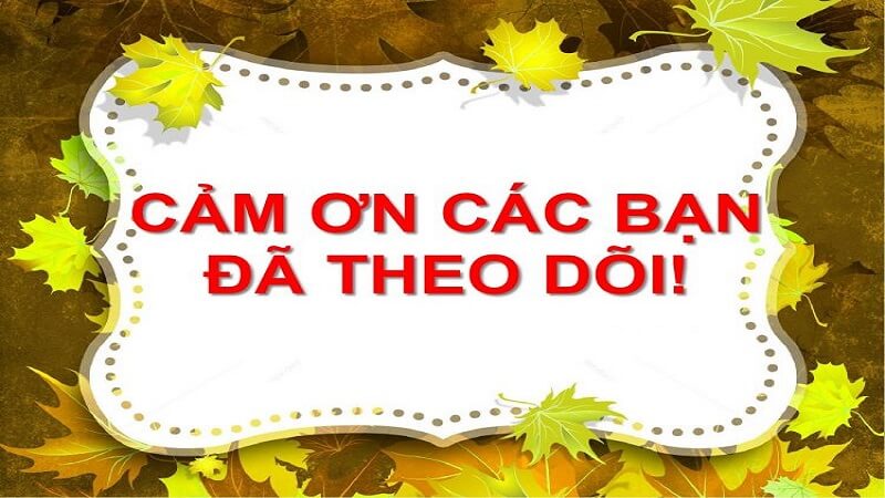 Hình nền Powerpoint cảm ơn đã theo dõi