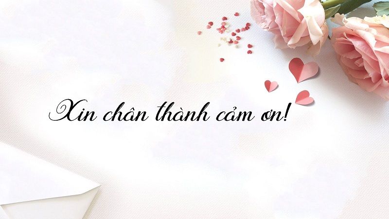 Hình nền Powerpoint cảm ơn chân thành