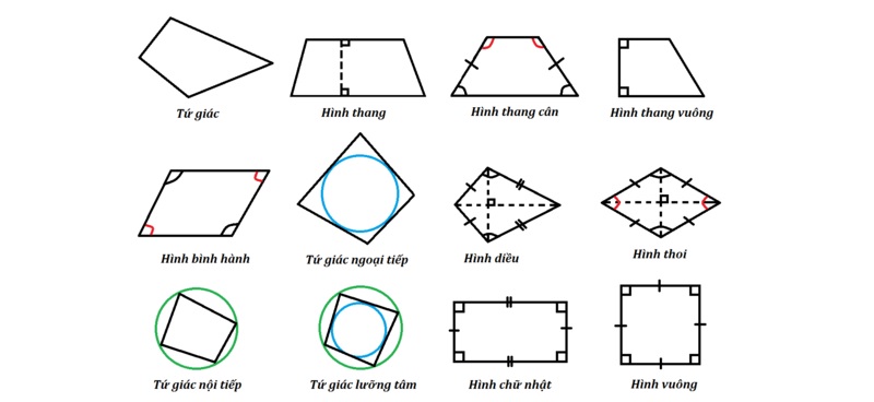 Một số hình tứ giác đặc biệt trong hình học. (Ảnh: Sưu tầm internet)