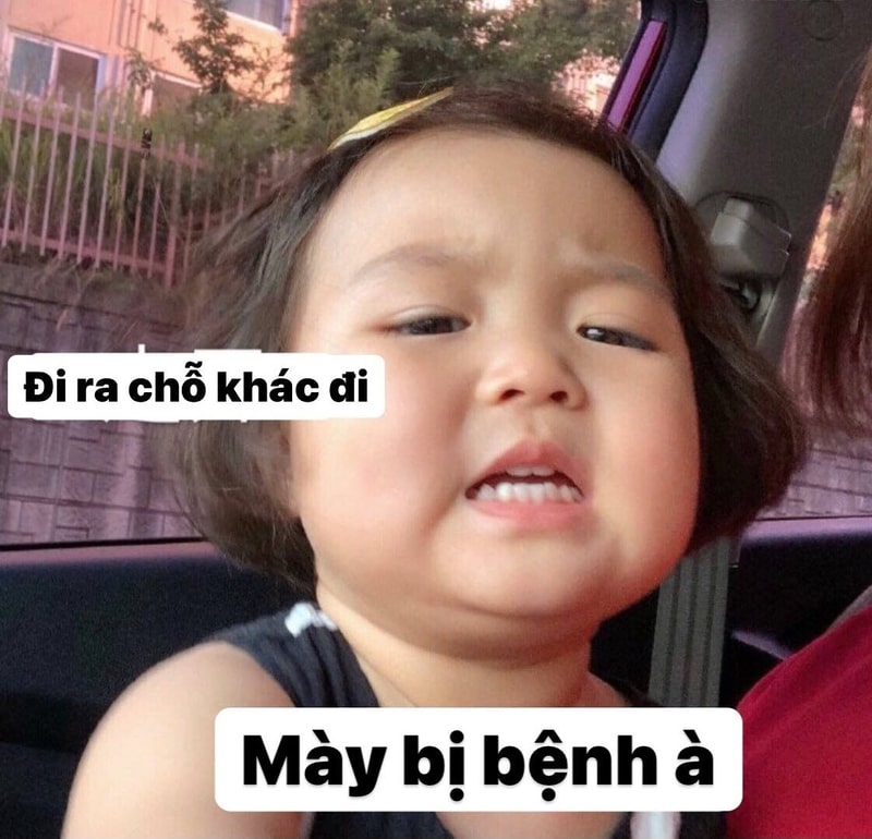 Bức ảnh meme vui nhộn biểu cảm
