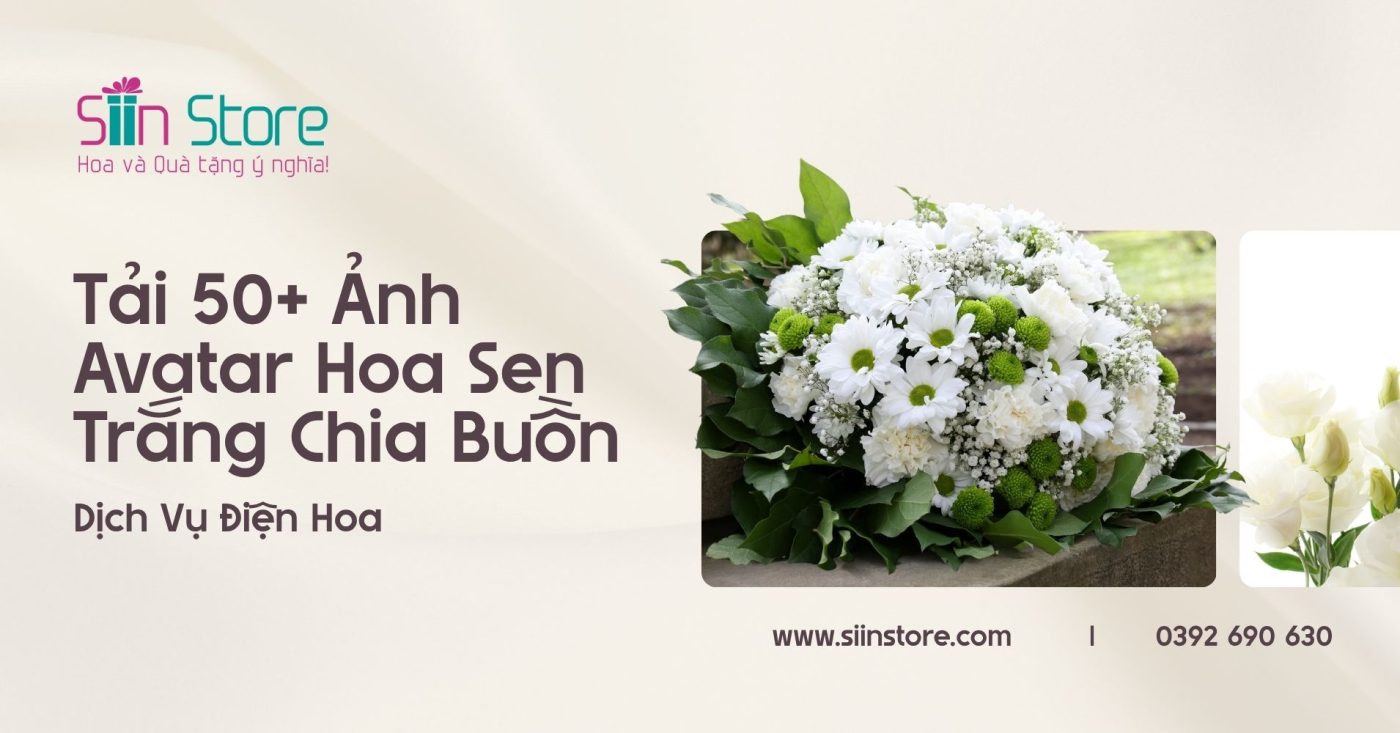 Tải 50+ Ảnh Avatar Chia Buồn Hoa Sen Trắng Đám Tang & Dịch Vụ Điện Hoa - Siin Store | Hoa và Quà tặng ý nghĩa!