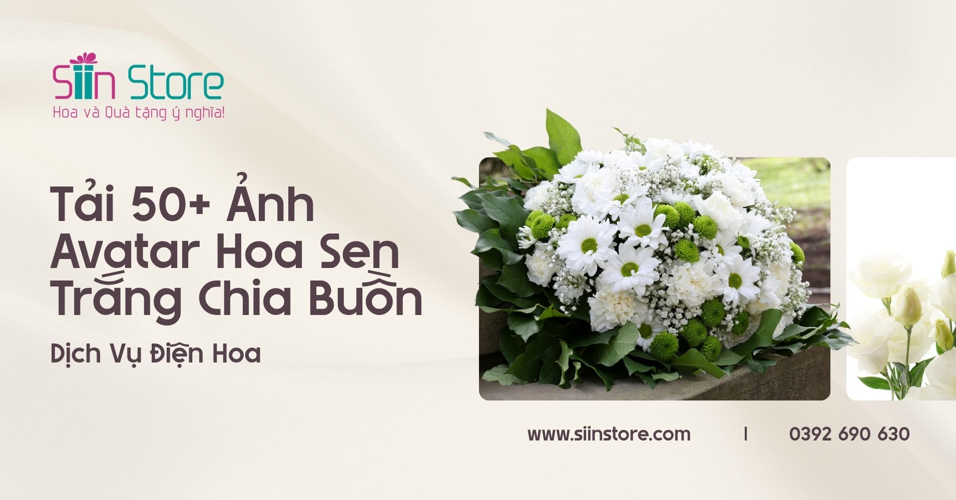 avatar chia buồn hoa sen trắng đám tang