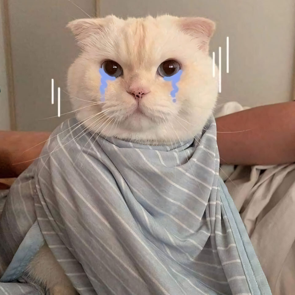 avatar anh con meo khoc 960px 960px avatar 1