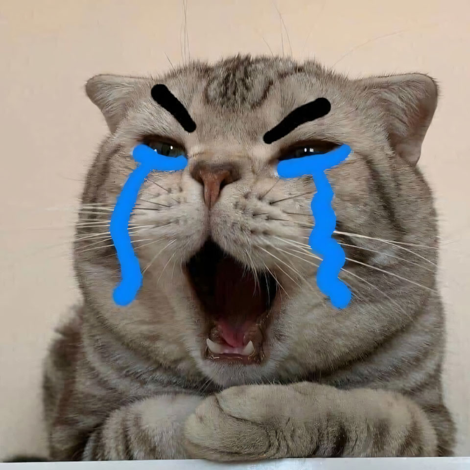 avatar anh con meo khoc 960px 960px avatar 4