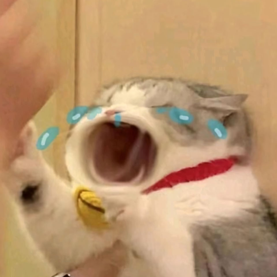 ha mieng anh con meo khoc 960px 960px avatar 5