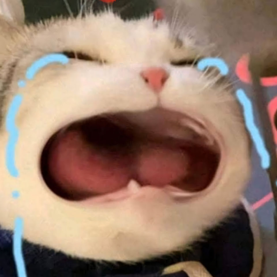 ha mieng anh con meo khoc 960px 960px avatar 3