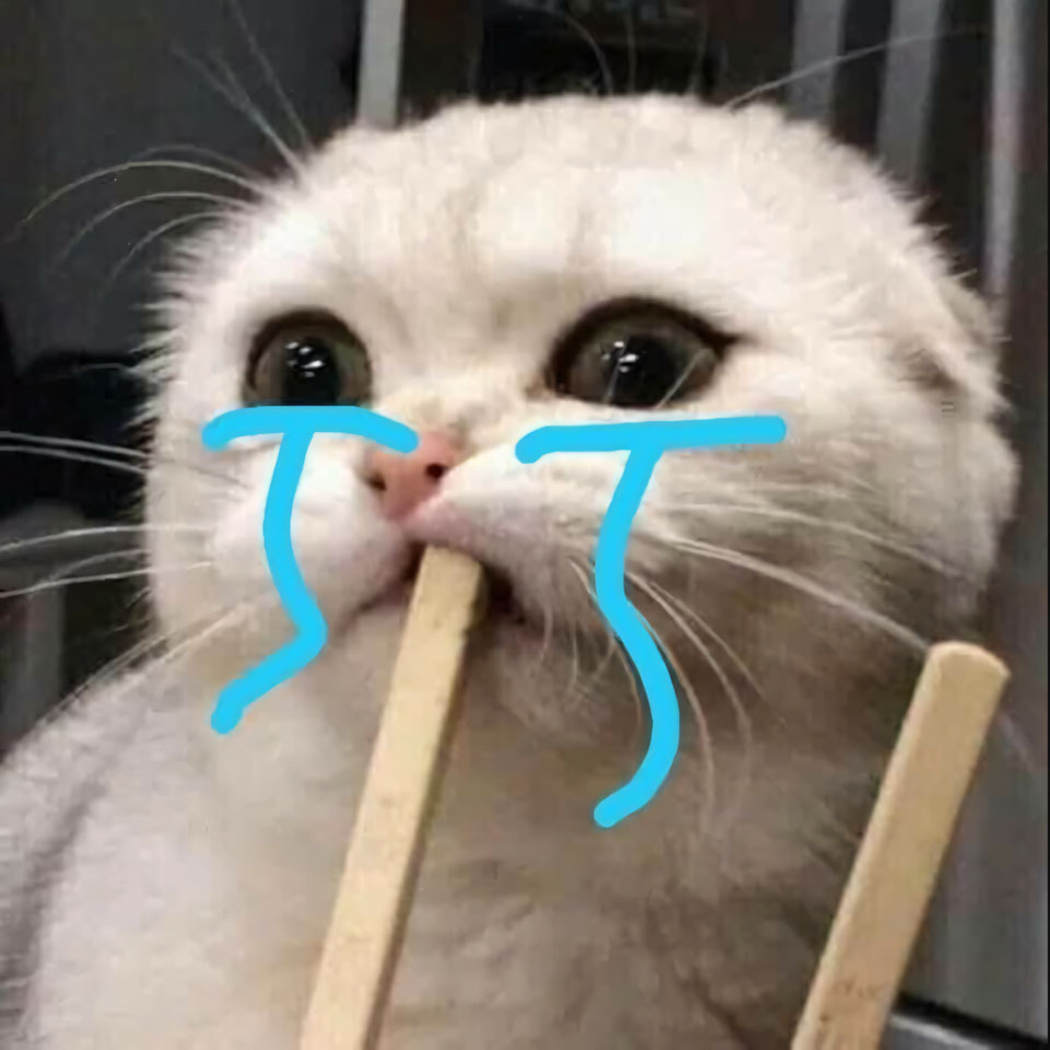 anh meme meo khoc 960px 960px avatar 3