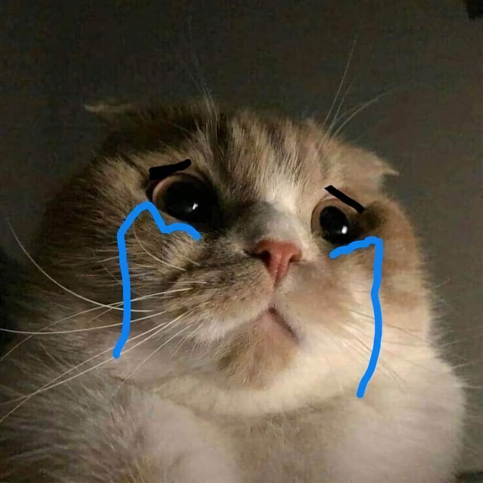 anh meme meo khoc 960px 960px avatar 4