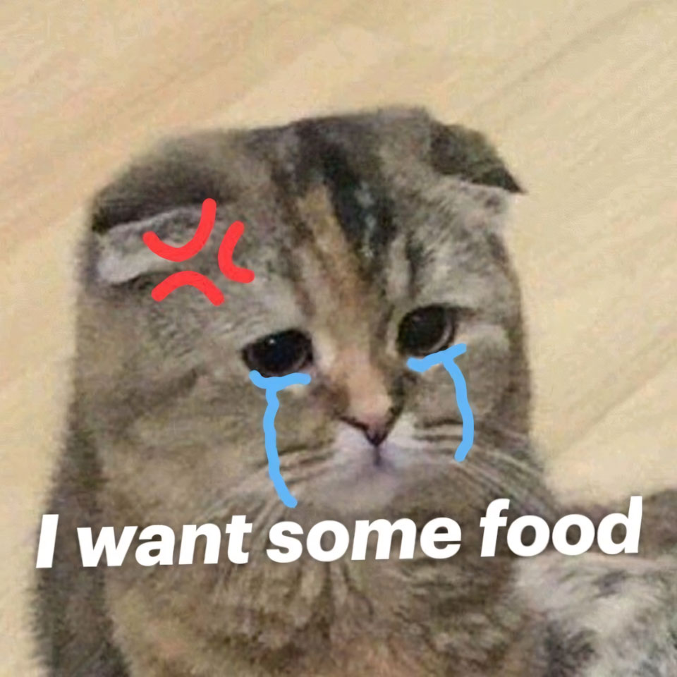 anh meme meo khoc 960px 960px avatar 7