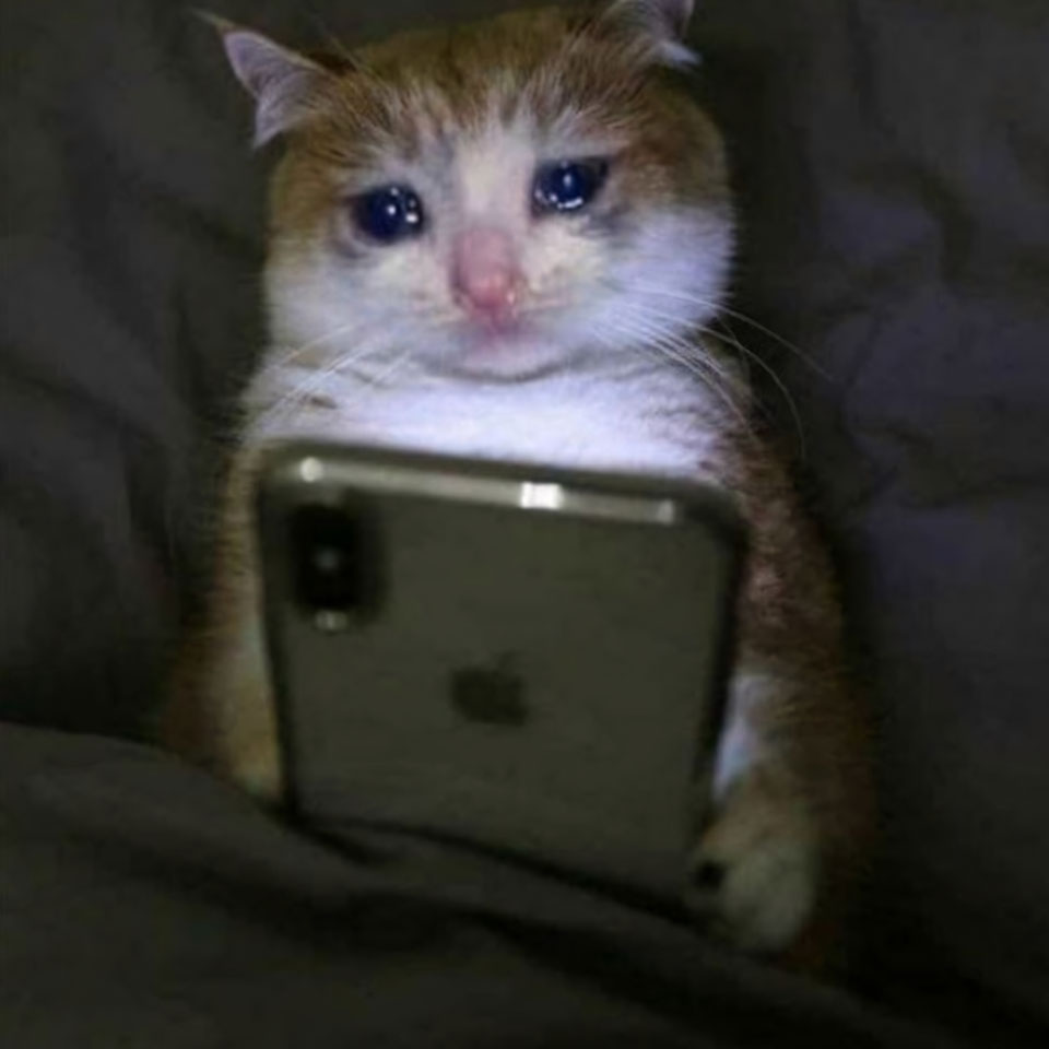 anh meme meo khoc 960px 960px avatar 18