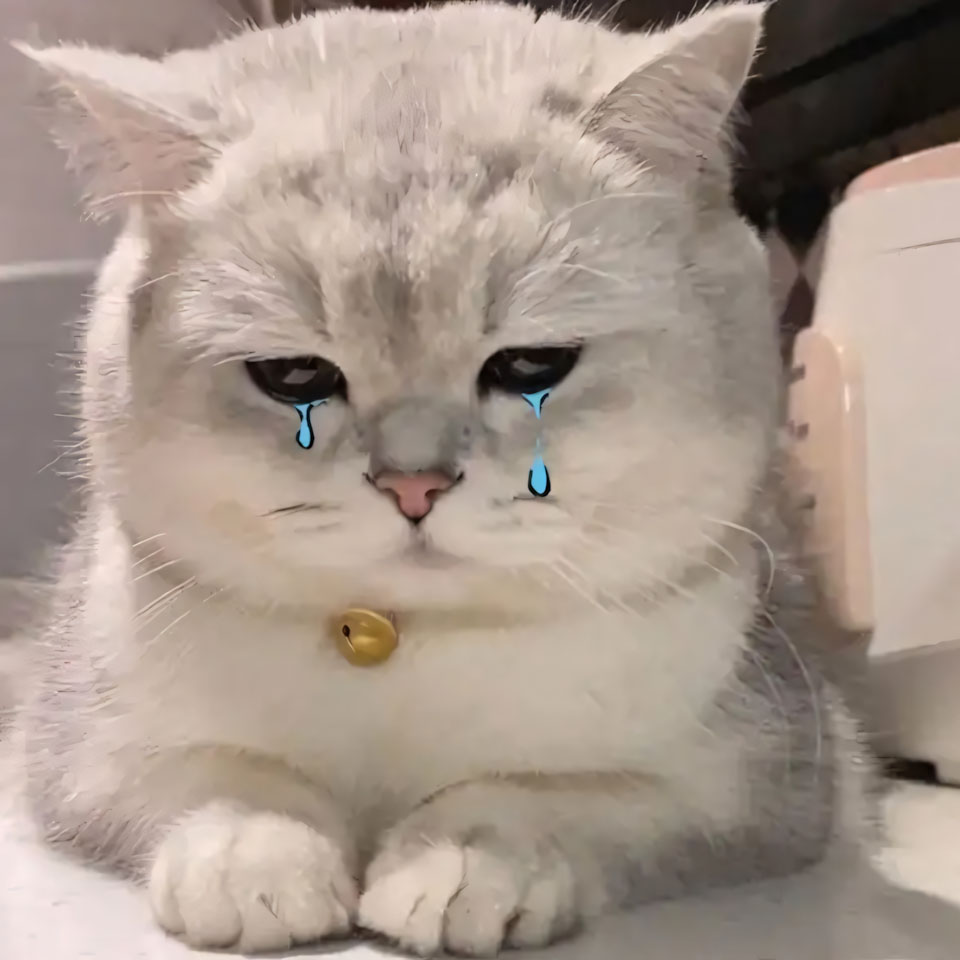 buon anh meo khoc cute 960px 960px avatar 3