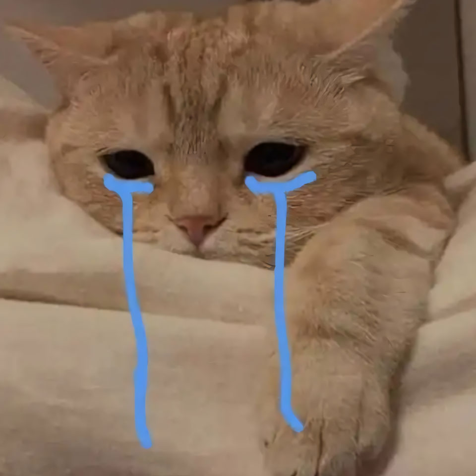 buon anh meo khoc cute 960px 960px avatar 9