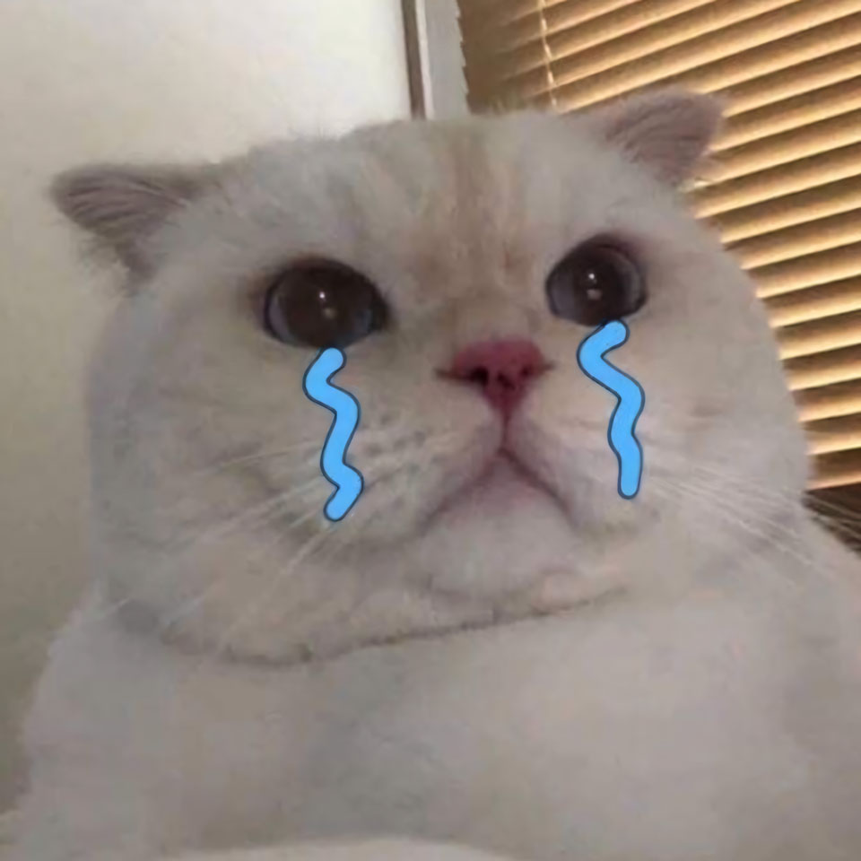 anh con meo khoc 960px 960px avatar 7