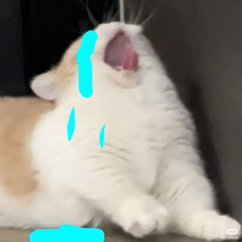 buon anh meo khoc cute 960px 960px avatar 16