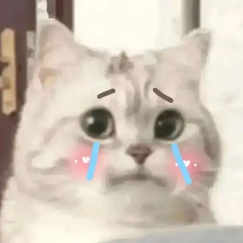 buon anh meo khoc cute 960px 960px avatar 17