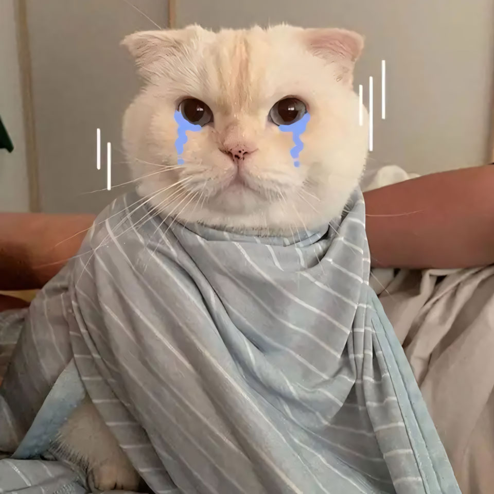 buon anh meo khoc cute 960px 960px avatar 18