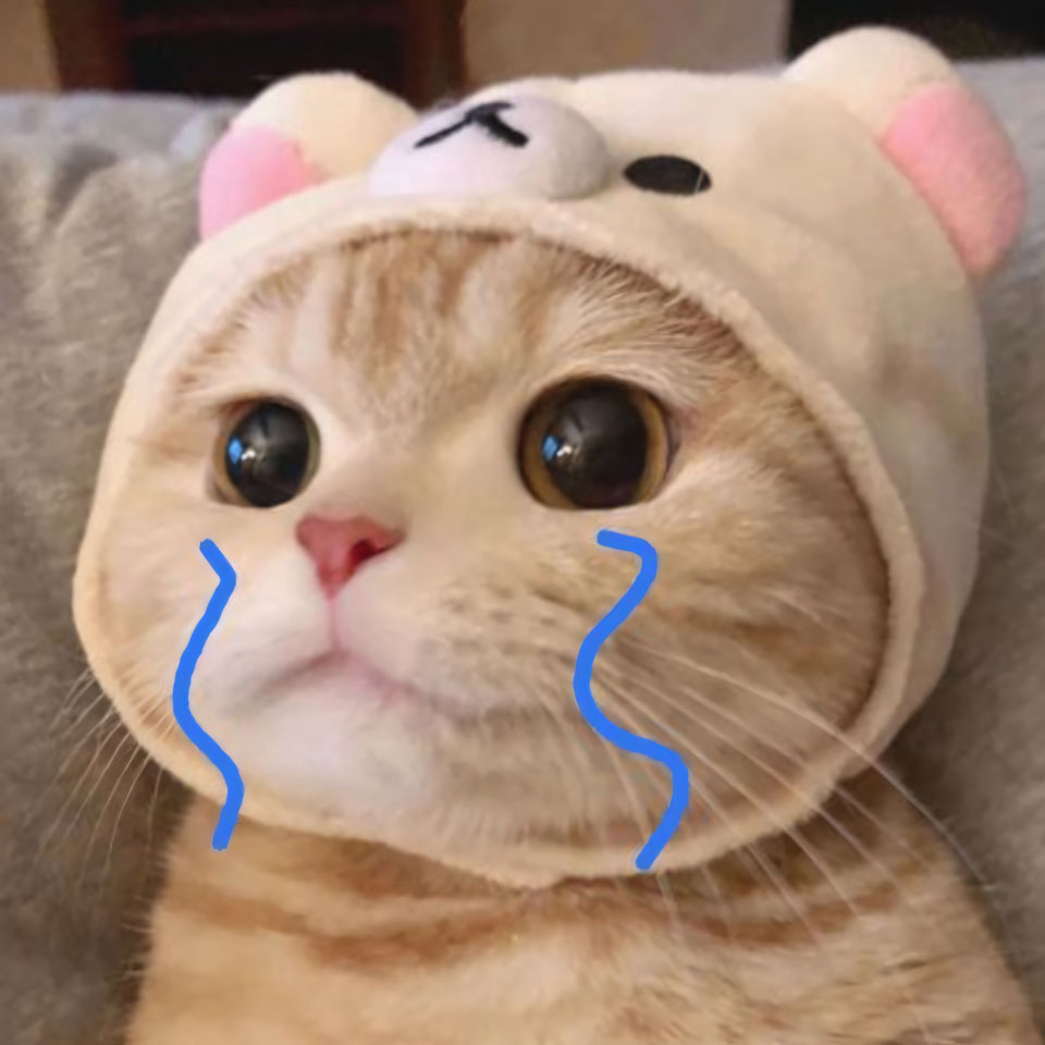 anh con meo khoc 960px 960px avatar 9