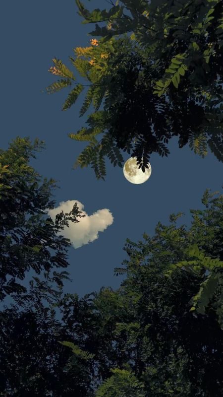 hinh-nen-dien-thoai-dep-nhat-hien-nay-17