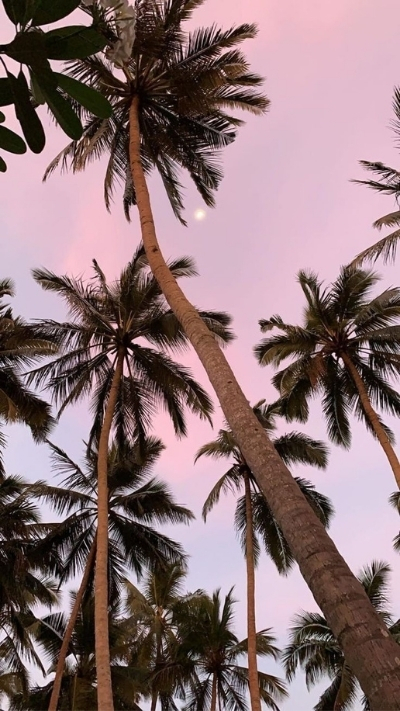 Hình nền iPhone X cực đẹp cho màn hình