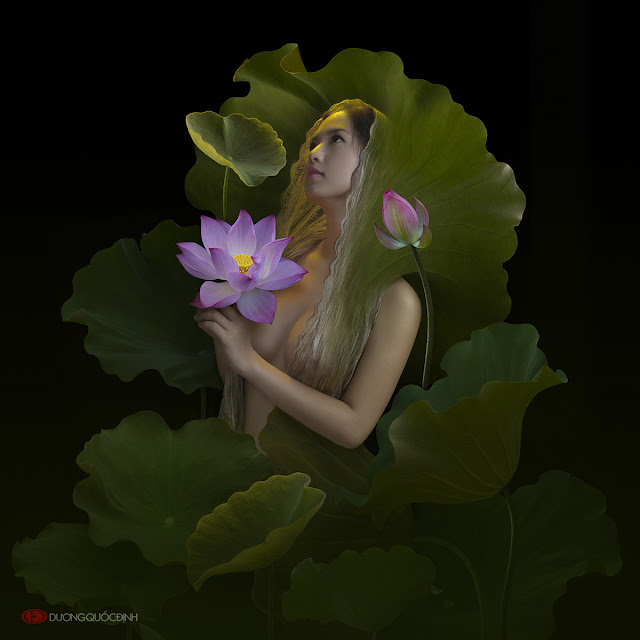 1158463 - Mê mẩn chiêm ngưỡng Bộ ảnh nghệ thuật của Dương Quốc Định