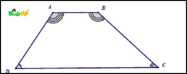 Tính chất của hình thang vuông